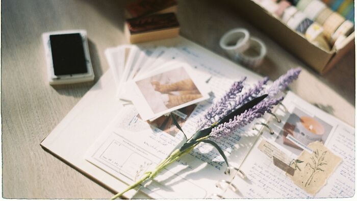 By date four, they’re hoarding every little memory like it’s a treasure. Scrapbook of dreams or clingy much?