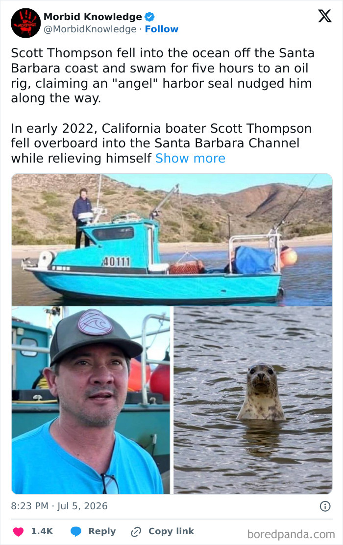 Whoa, These Stories Are Seriously Wild!