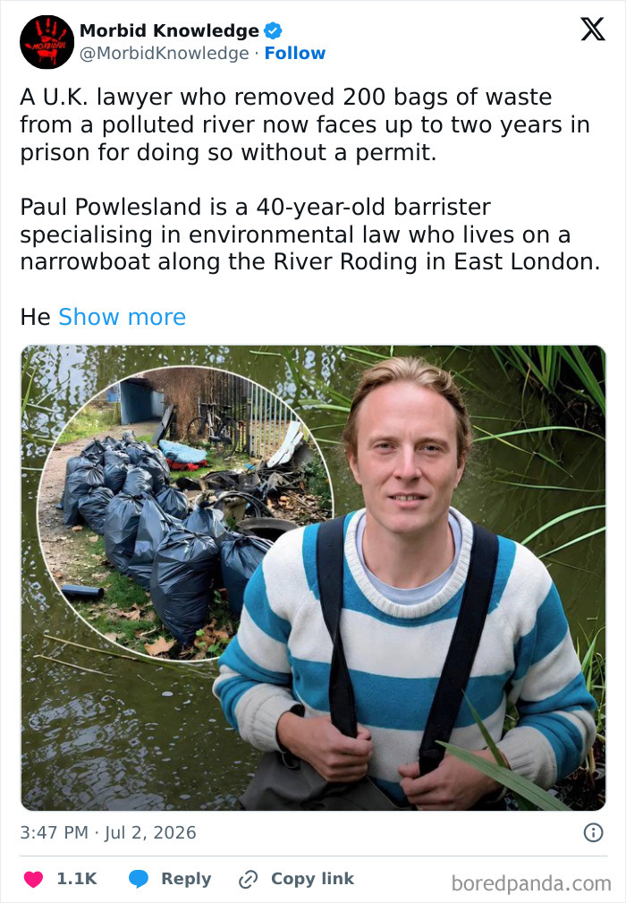 Whoa, These Stories Are Seriously Wild!