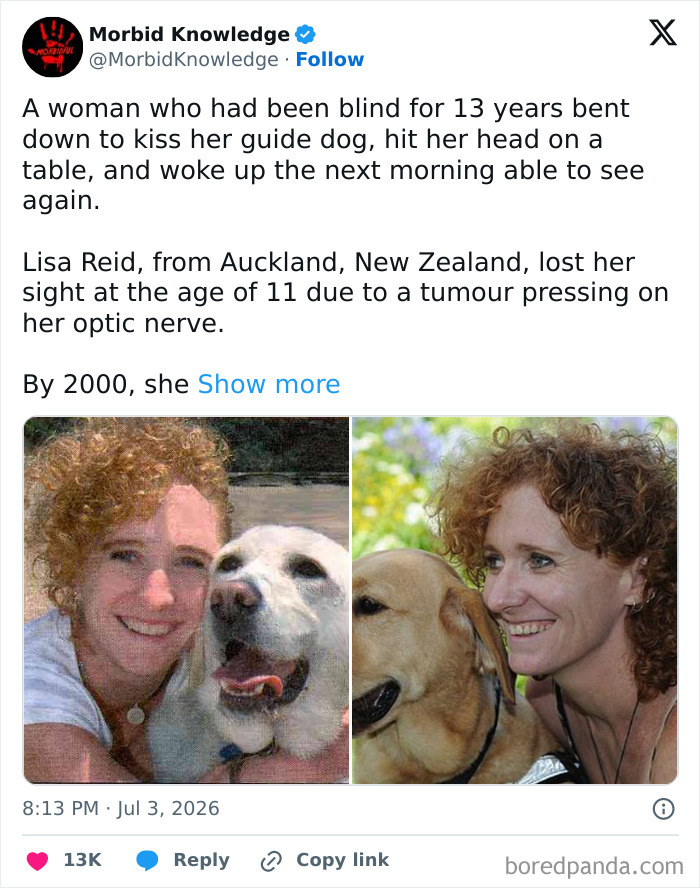 Whoa, These Stories Are Seriously Wild!