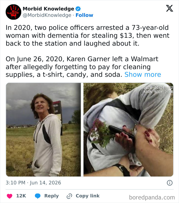 Whoa, These Stories Are Seriously Wild!