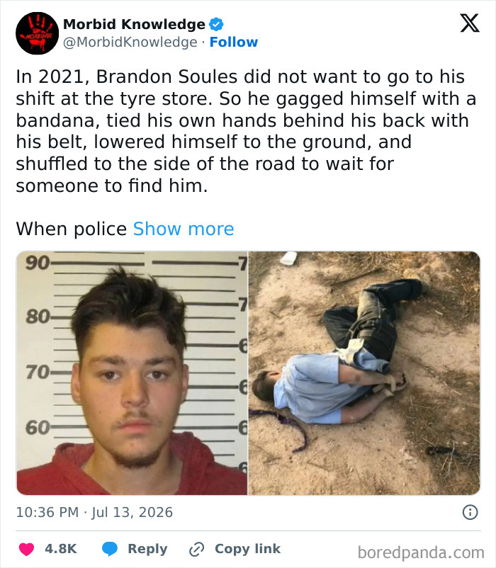 Whoa, These Stories Are Seriously Wild!
