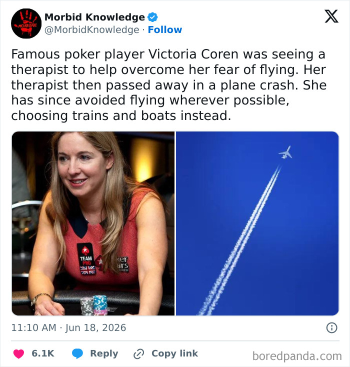 Whoa, These Stories Are Seriously Wild!