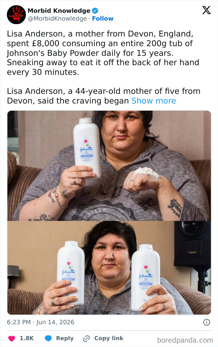 Whoa, These Stories Are Seriously Wild!