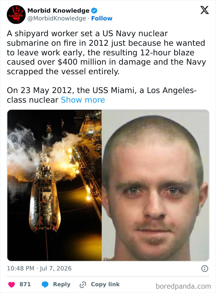Whoa, These Stories Are Seriously Wild!