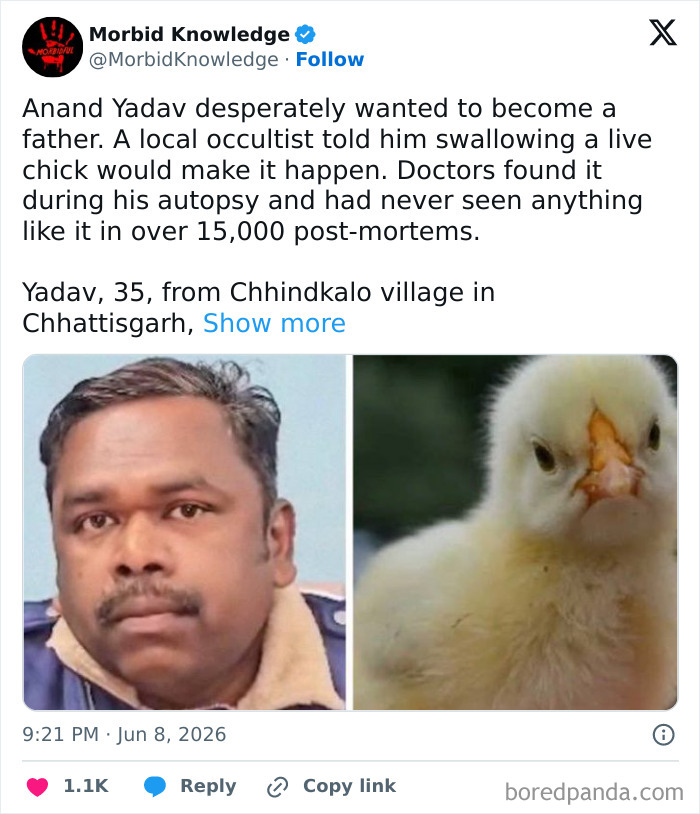 Whoa, These Stories Are Seriously Wild!
