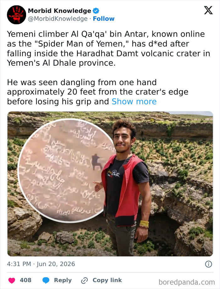 Whoa, These Stories Are Seriously Wild!