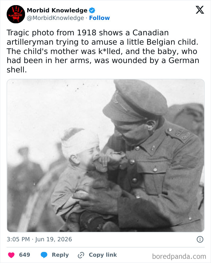 Whoa, These Stories Are Seriously Wild!