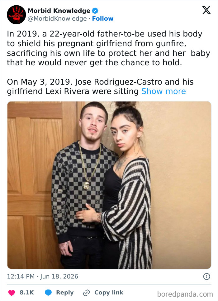 Whoa, These Stories Are Seriously Wild!