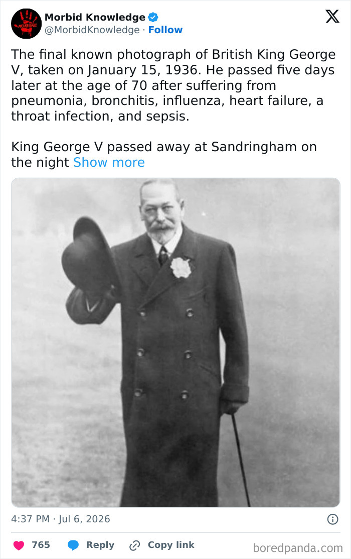 Whoa, These Stories Are Seriously Wild!