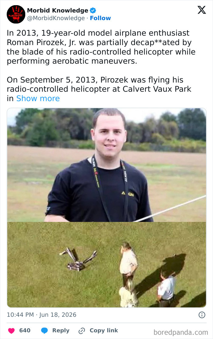 Whoa, These Stories Are Seriously Wild!