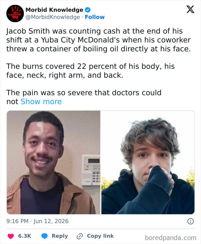 Whoa, These Stories Are Seriously Wild!