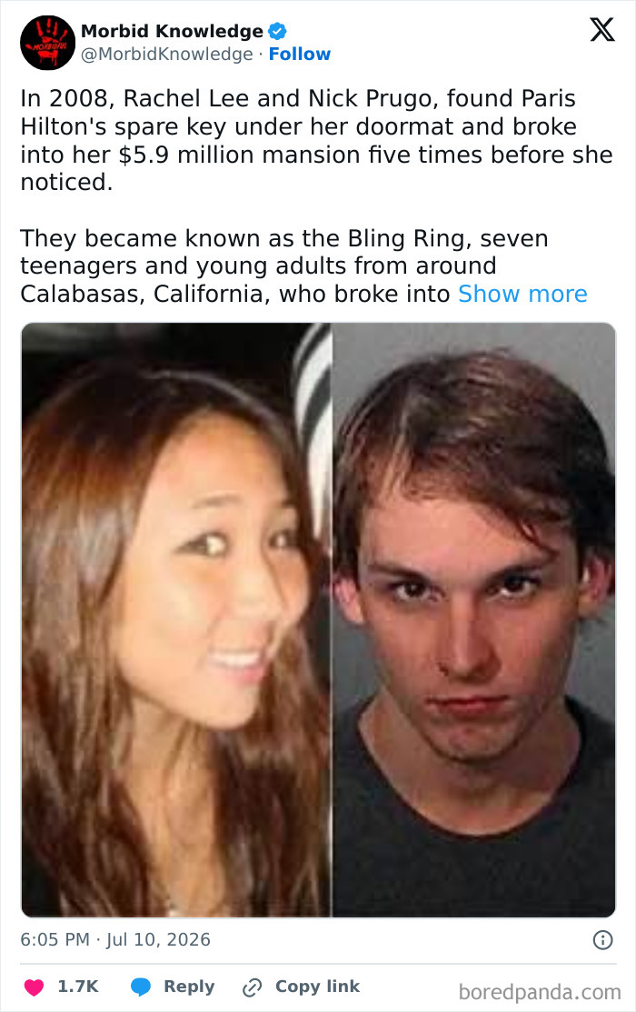 Whoa, These Stories Are Seriously Wild!