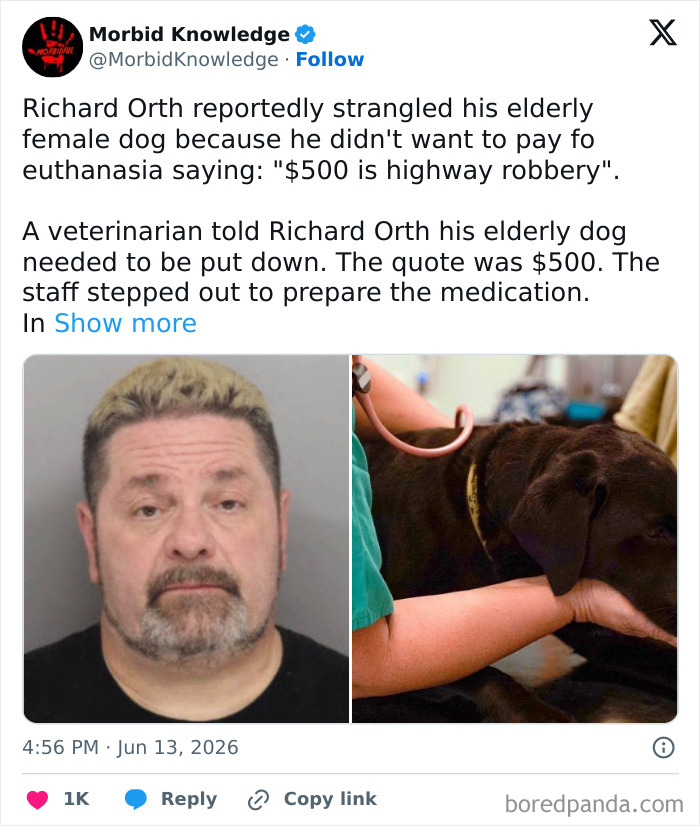 Whoa, These Stories Are Seriously Wild!