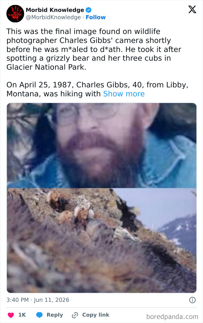 Whoa, These Stories Are Seriously Wild!