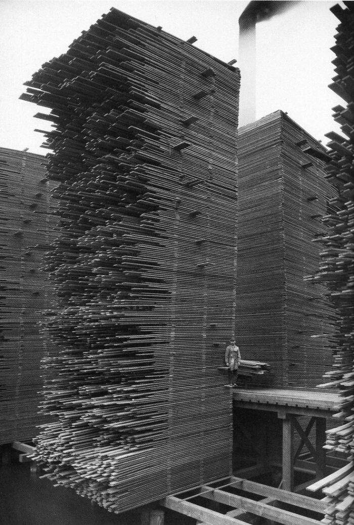 Ballard Mill, 1958 (Industrial Nostalgia)