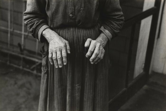 Old Homesteader's Hands, Iowa 1936 (Hands Full of Stories)