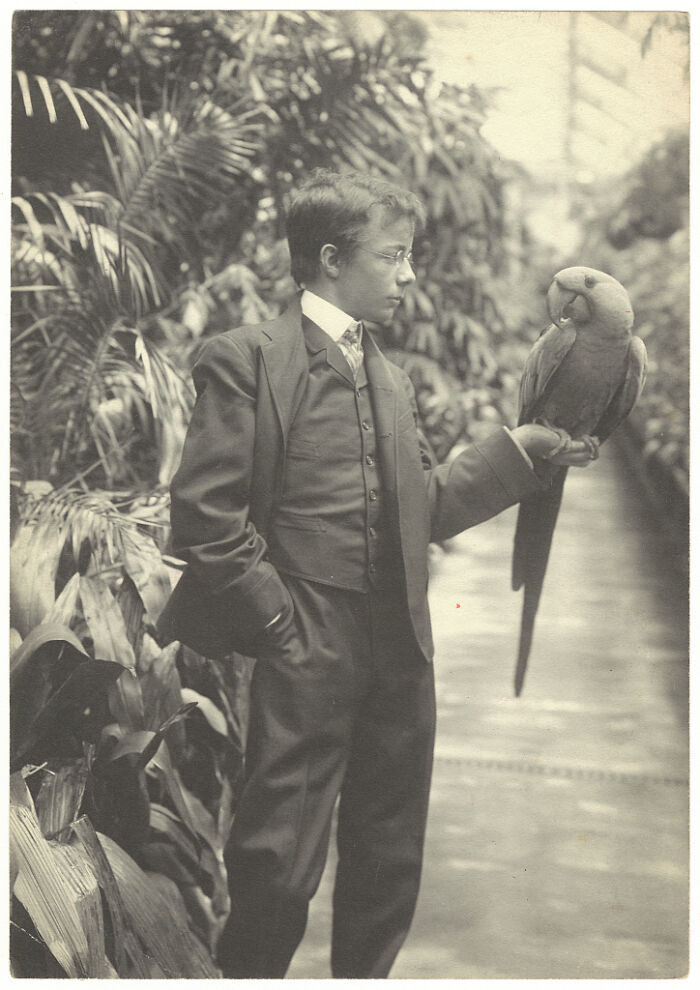 Theodore Roosevelt Jr. With A Hyacinth Macaw, 1902 (Birds Of A Feather)