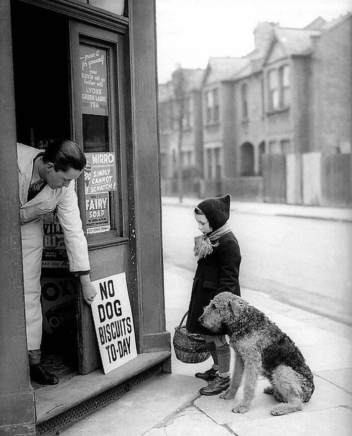 No Dog Biscuits Today, London 1939 (Poor Pups)
