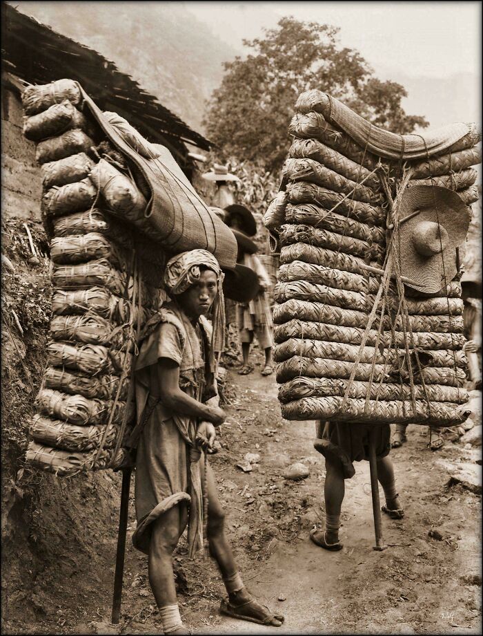 Men Carrying Tea In China, 1908 (Tea Time, Literally)