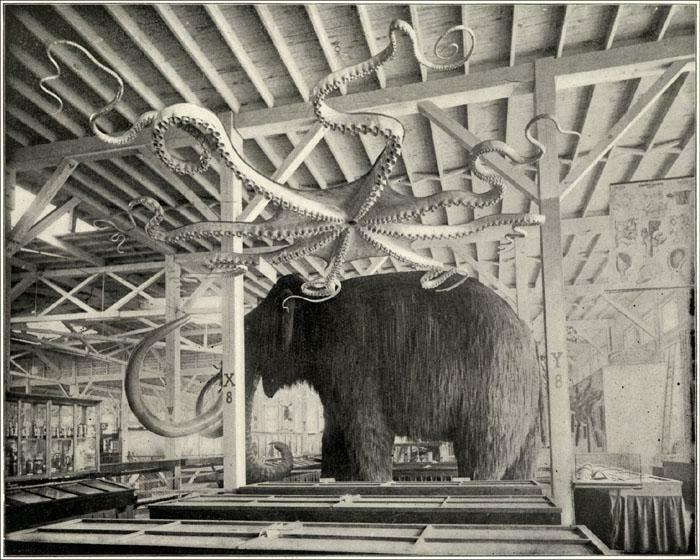 Mammoth And Giant Octopus At 1893 World’s Fair (Mega Exhibit!)