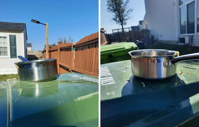 Hot Pot Melted Into Trash Can — Now What?!