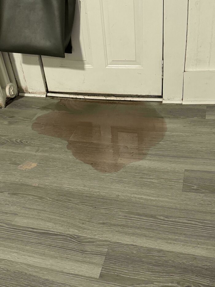 Rain Leak From Back Door In Basement Apartment. Fix Ideas?