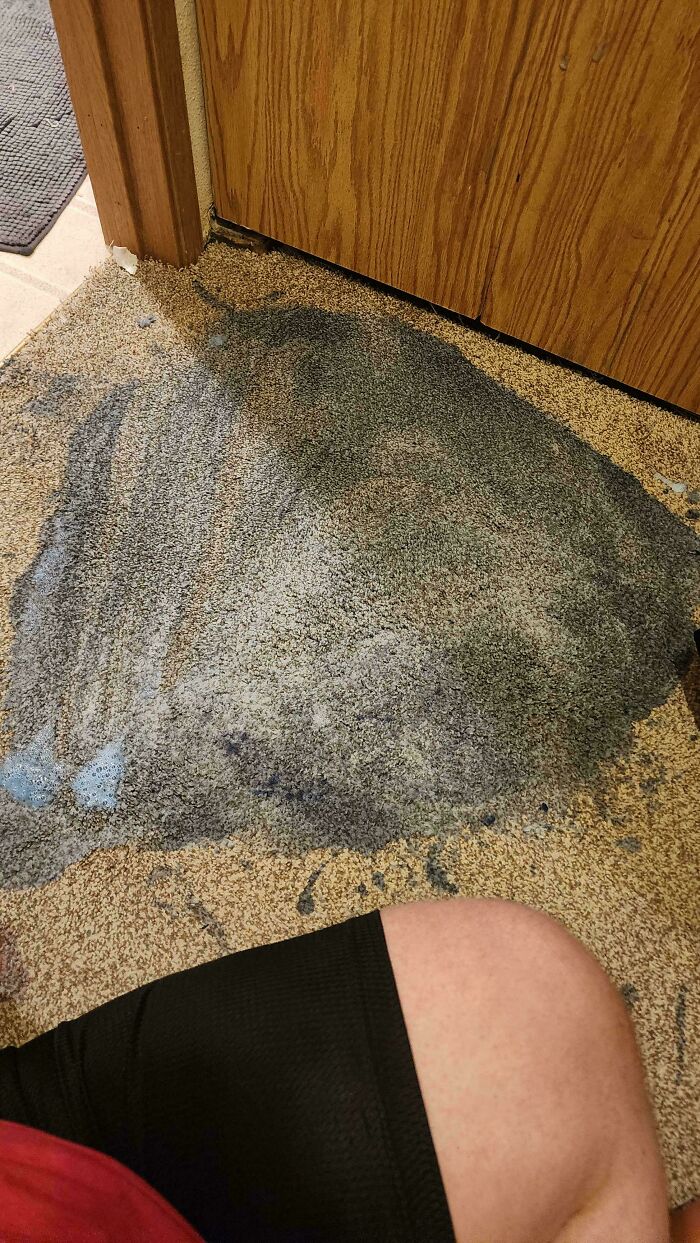 Laundry Detergent Disaster On Carpet — How To Fix?