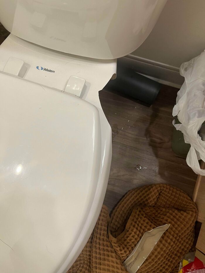 Cat Broke The Toilet. Is It Fixable?