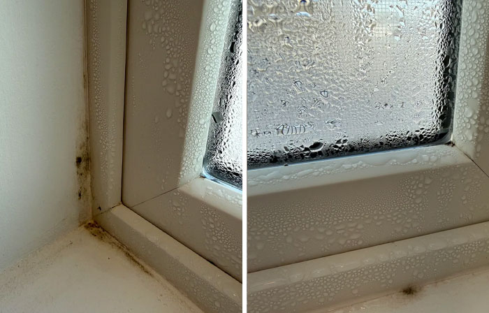 Brand New House Sweats And Molds During Winter — Help!