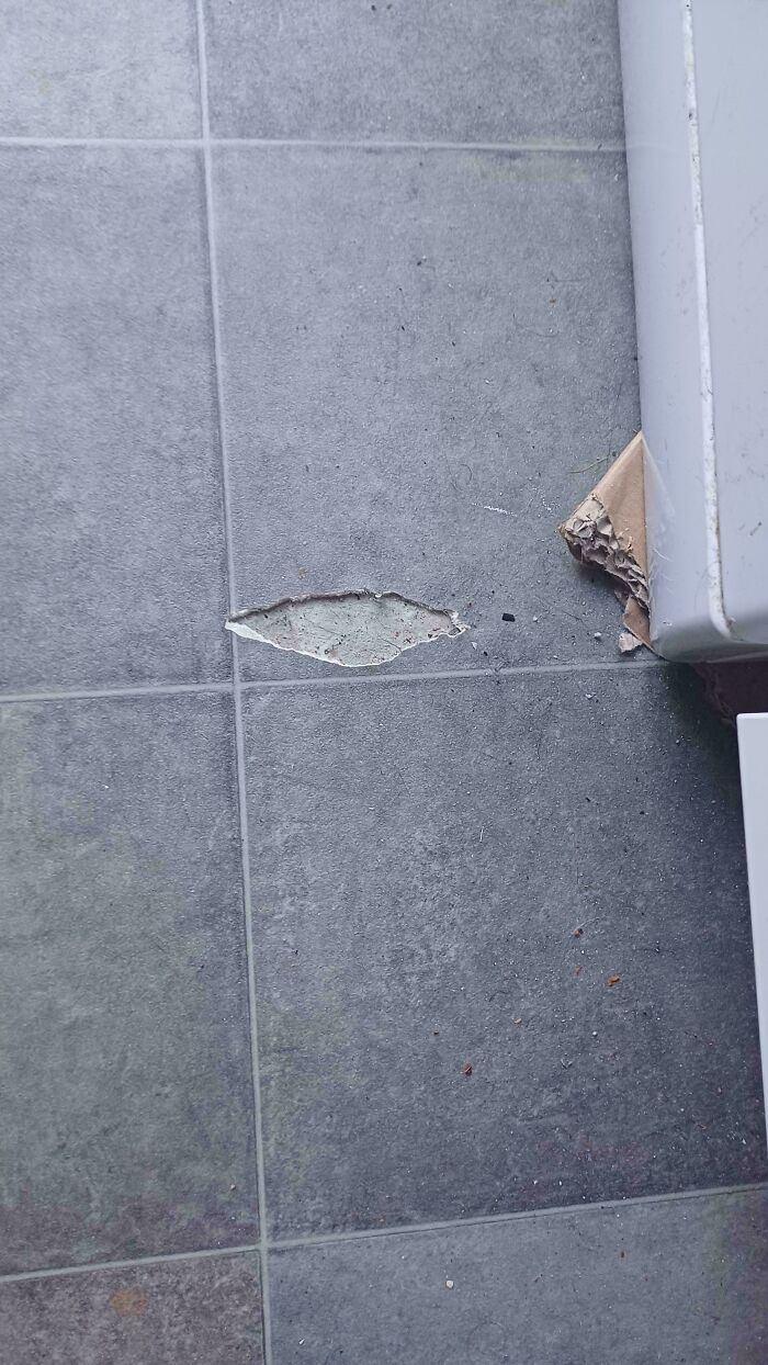 Damaged Lino When Moving Washing Machine — How To Repair Before Inspection?