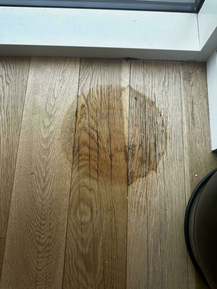 Planter Hole Leaking Water All Over the Floor — How To Save My Deposit?