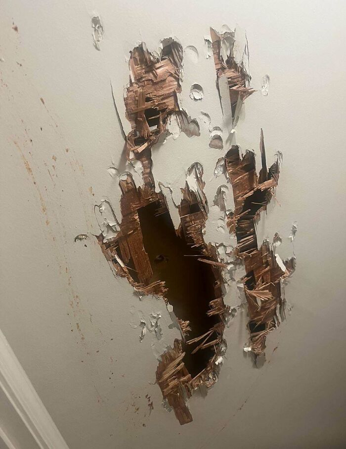Never Fixed Wood Paneling Before — What Am I In For?