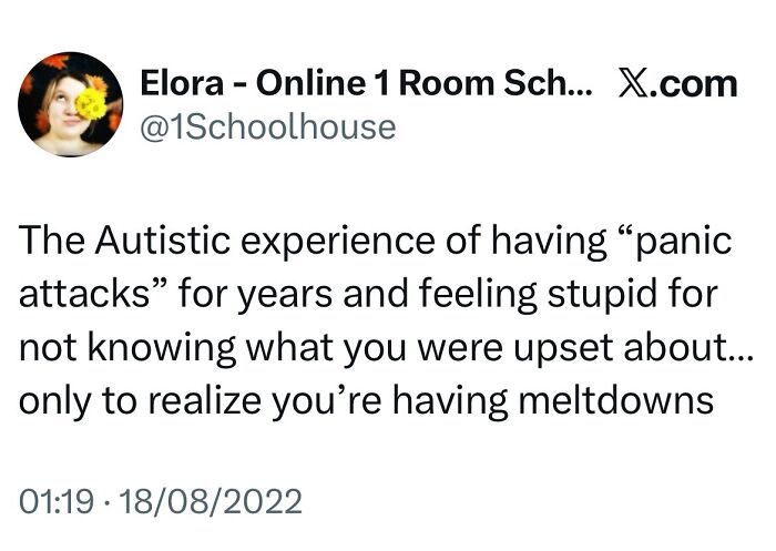 These 80 Autism Memes? Shockingly Accurate and Hilariously Relatable!