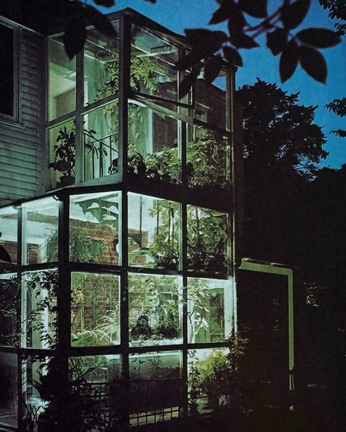 Indoor Garden Vibes, 1977