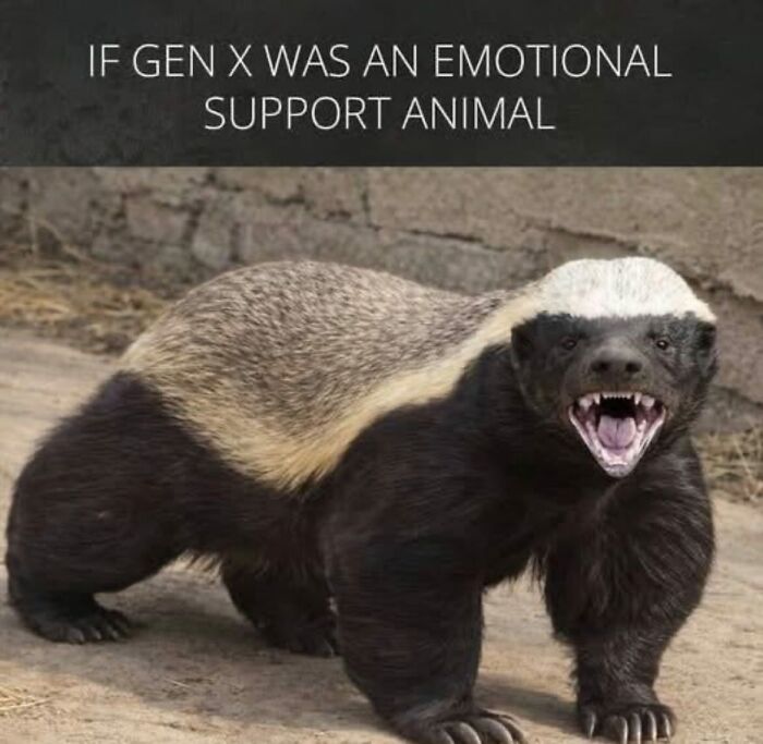 These Gen X Memes Are Basically A Time Machine Back To Your Childhood