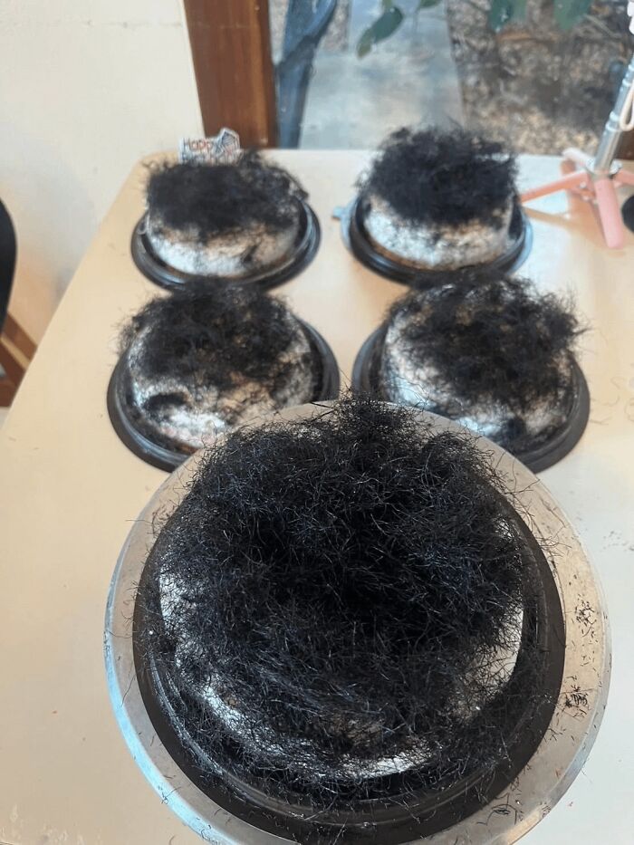 Cake With Hair?! It’s Actually Seaweed