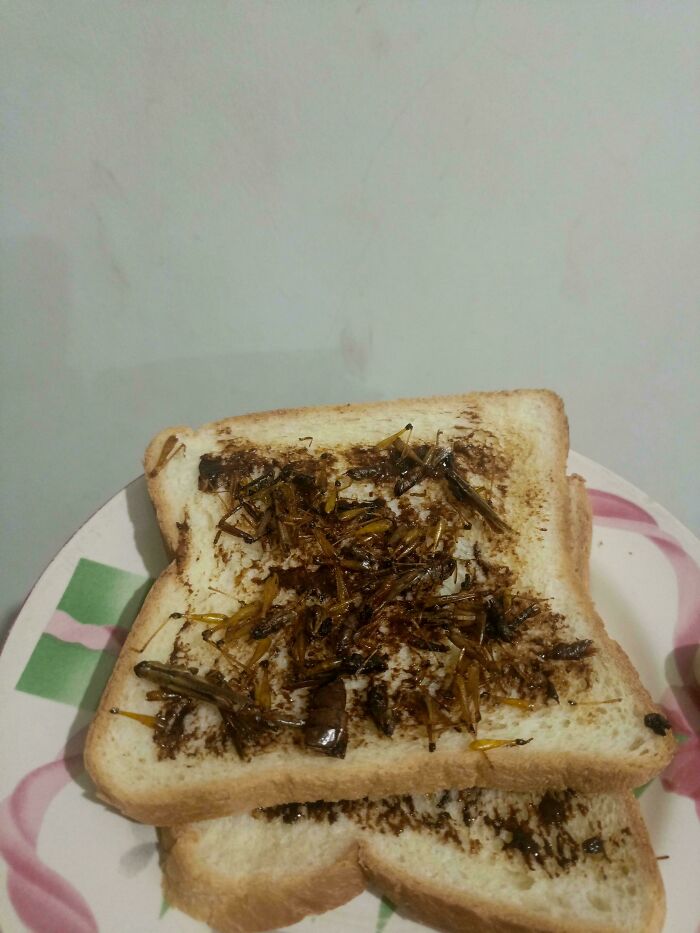Grasshoppers On Vegemite Toast??