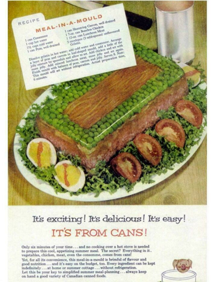 Meal Mold? Maybe Not Yummy Mold