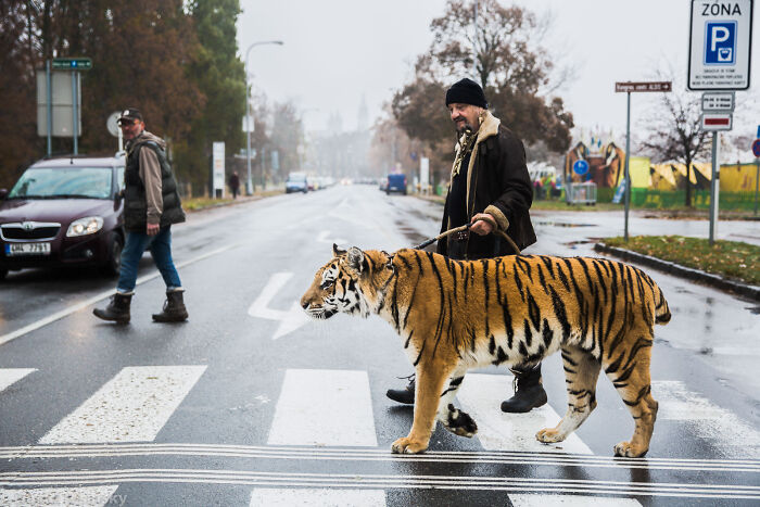 Wait, This Photographer Braved 91 Countries But His Toughest Story Is About Being A Dad