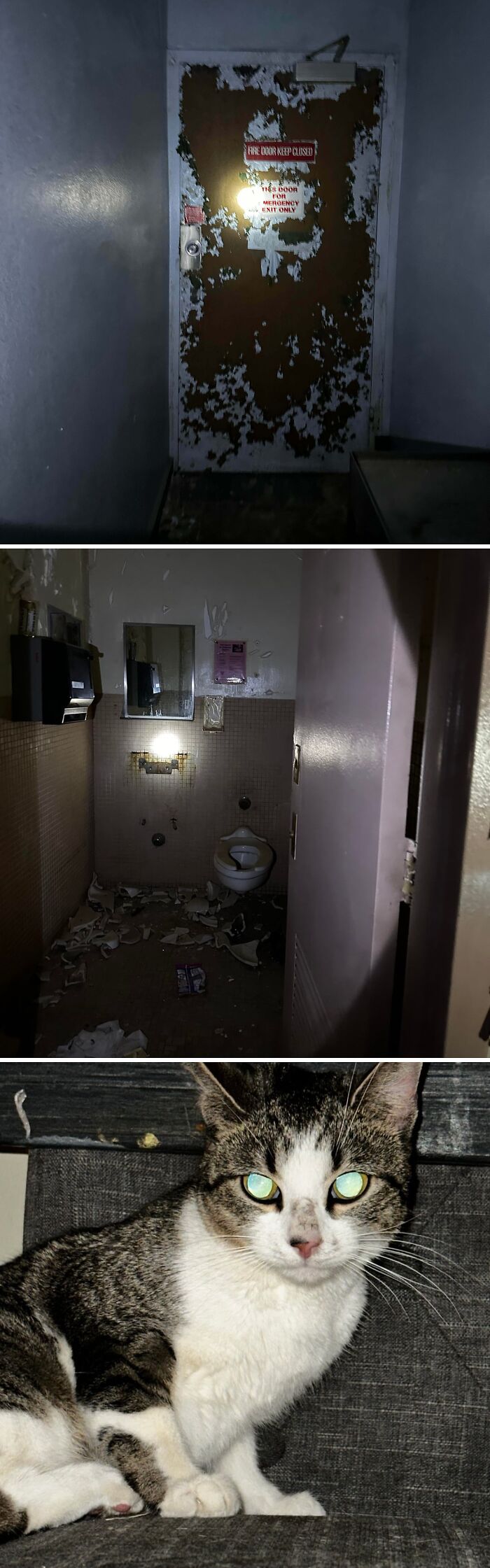 Whoops, I Took a Little Souvenir from This Abandoned Hospital