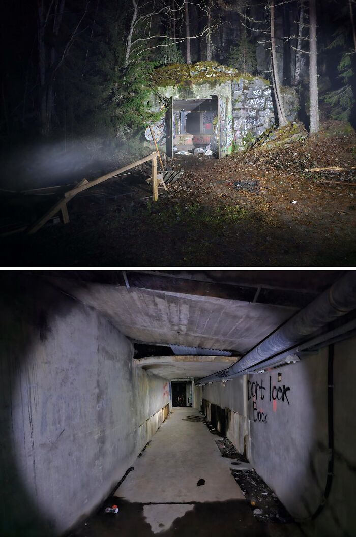 Guess What? I Found a Bunker Hidden in the Woods!