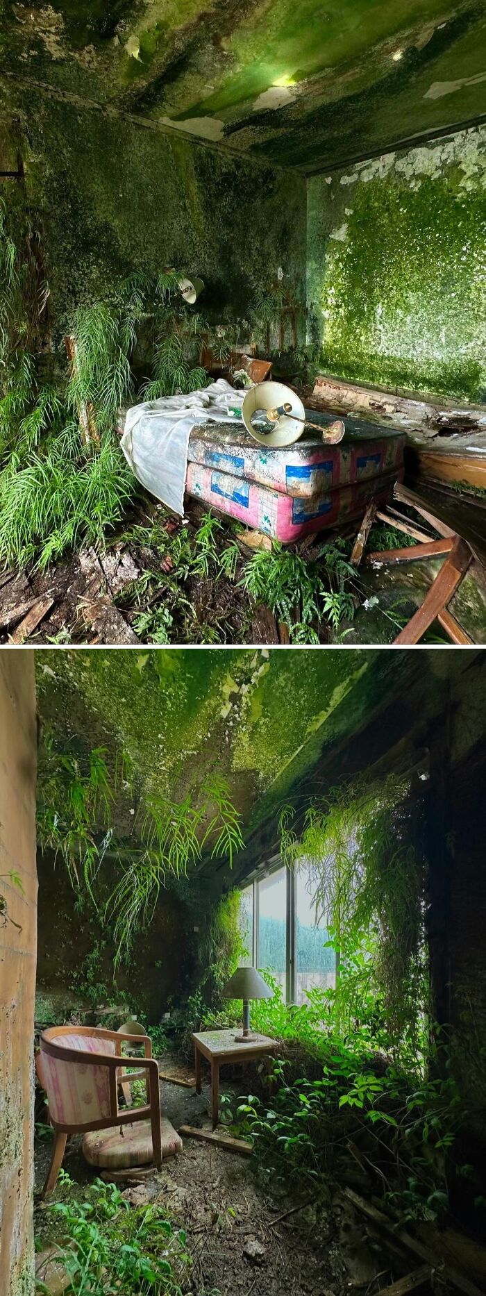 Ghostly Vibes at an Abandoned Hotel
