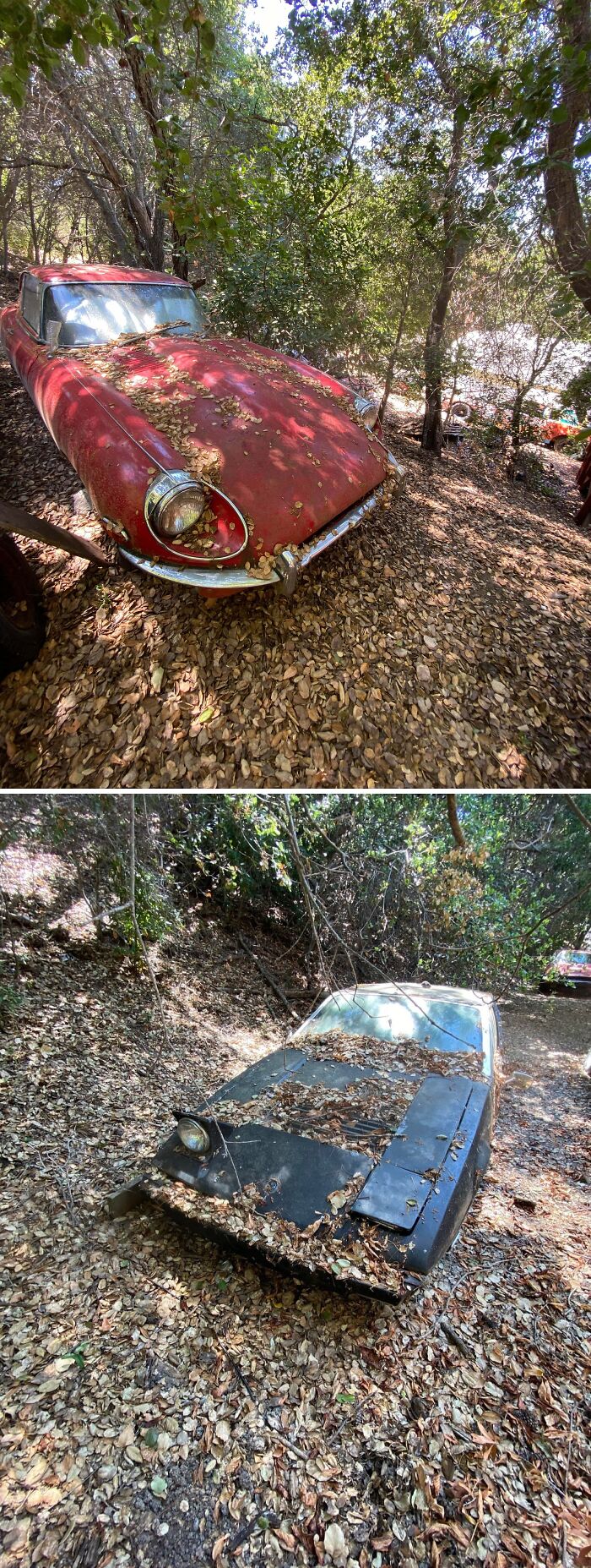 Forgotten Places Full of Surprises: 96 Wild Finds from Urban Explorers