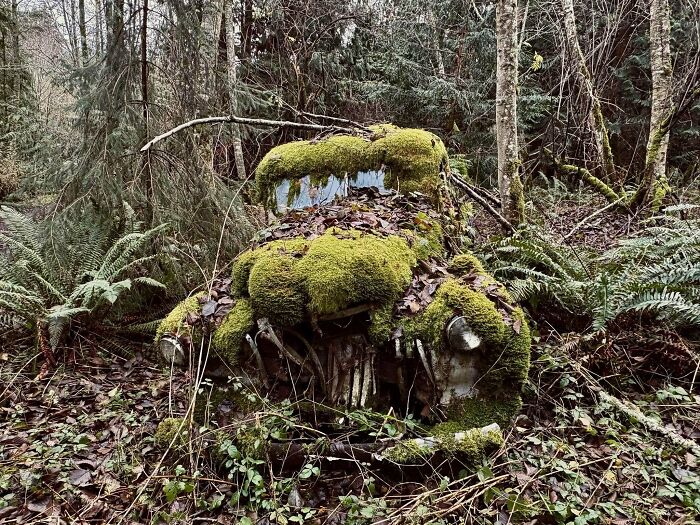 Forgotten Places Full of Surprises: 96 Wild Finds from Urban Explorers