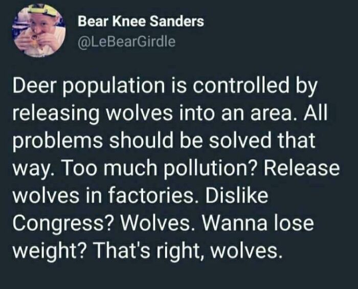 Time to Start Using Wolves for Everything