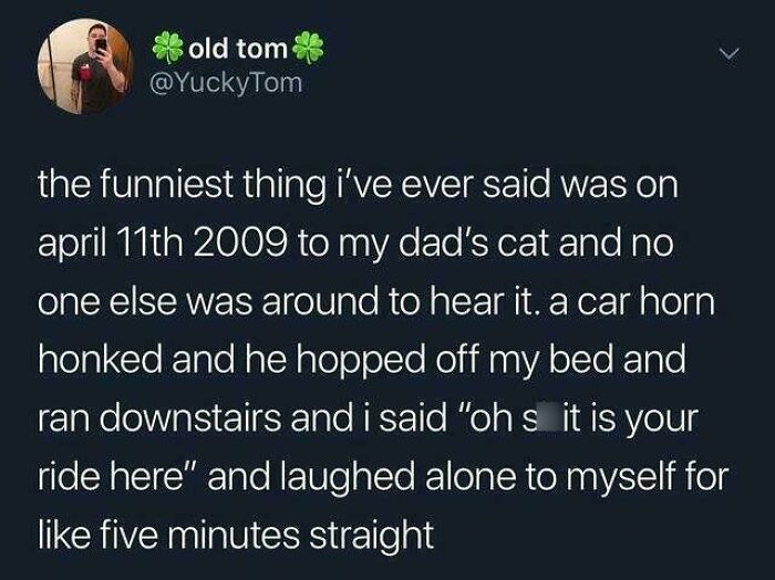 Only The Cat Saw What Happened