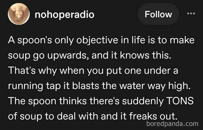 The Mighty Spoon