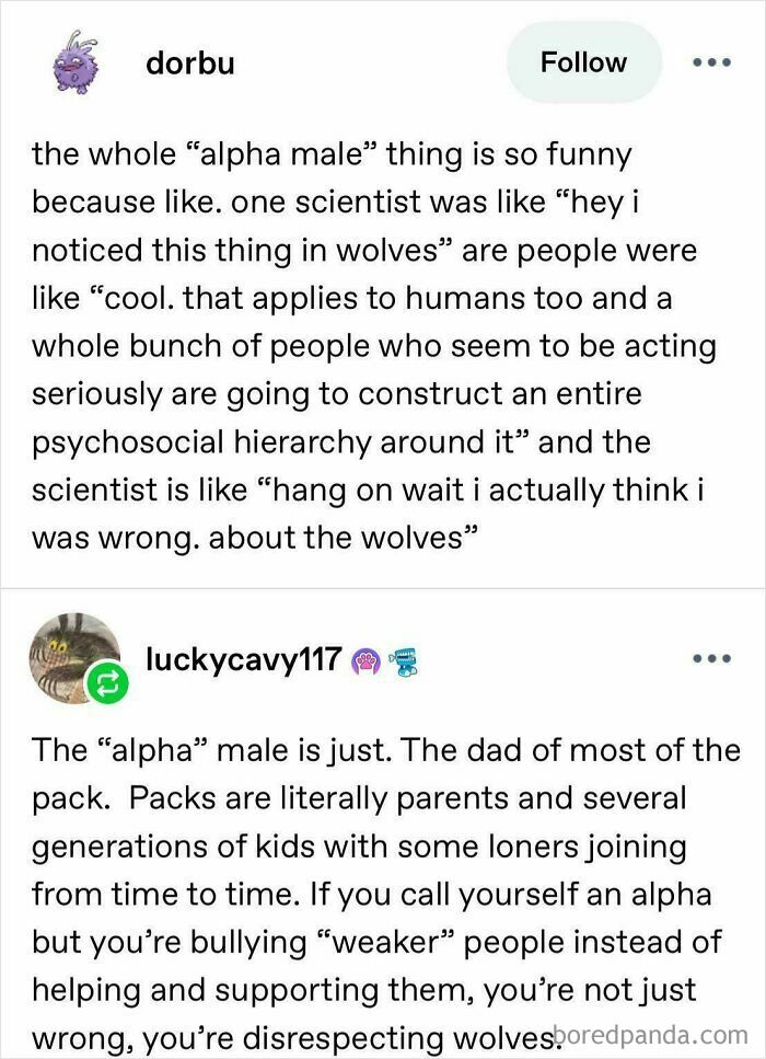 78 Tumblr Posts That Are Absolutely Weird, Funny, And Totally Tumblr