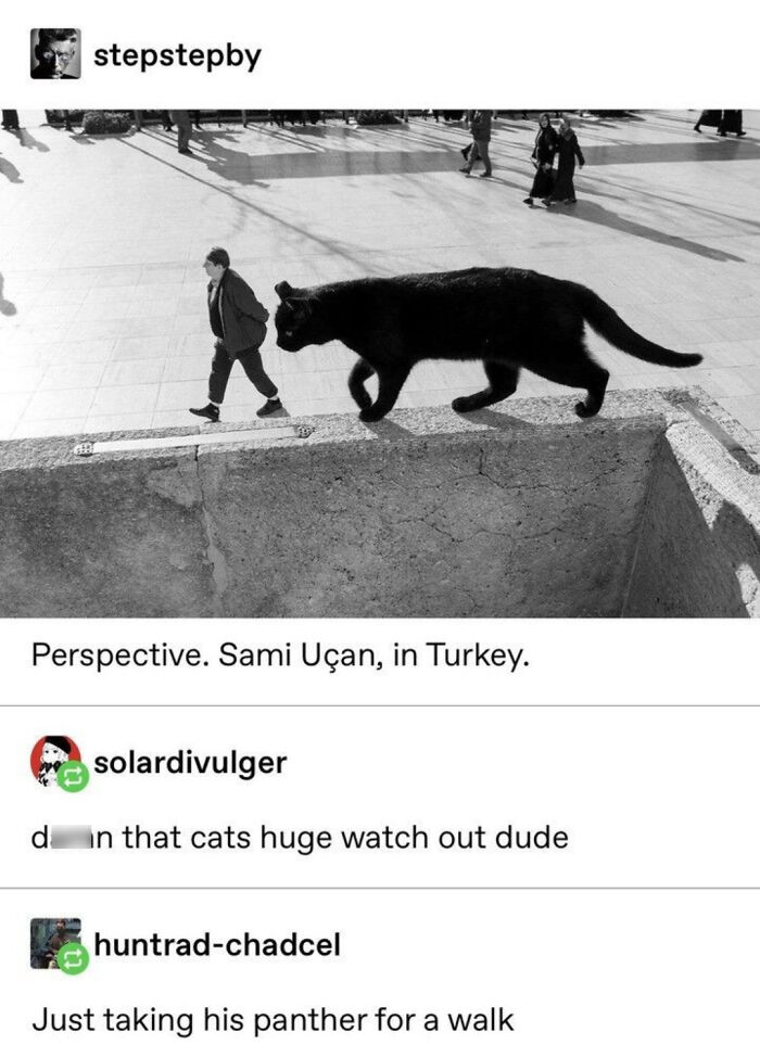 78 Tumblr Posts That Are Absolutely Weird, Funny, And Totally Tumblr